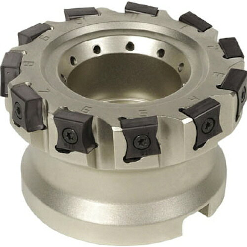 イスカル タングミル フェースミル F90LN−N15 F90LN D100-08-31.75-R-N15 【623-1331】