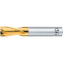 OSG ハイススクエアエンドミル TiNコート2刃キー溝用 刃径7mm シャンク径10mm 81664 EX-TIN-EKD-OL1-7(81664) 【631-4848】(4)