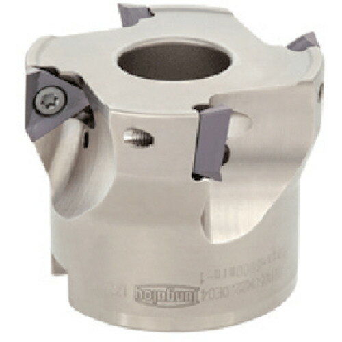 タンガロイ タング・トライ ボアタイプカッタ TPA10 TPA10R050M22.0E04 【710-2208】