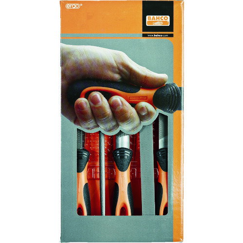 【特長】■エルゴハンドル付きハンドヤスリ、甲丸ヤスリ、丸ヤスリ、角ヤスリのセットです。【仕様】■タイプ：荒目＆中目■刃長(mm)：200【材質・仕上】■高性能合金鋼【セット内容】■1-210-08-1-2、1-230-08-1-2、 1-100-08-1-2、 1-100-08-2-2、 1-160-08-1-2