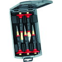 RENNSTEIG ハンドガード付チゼル5点セット プラスチックボックス 421-102-0 【766-2891】