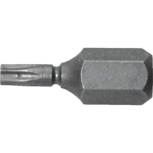 アネックス 溝付超短ヘクスローブビット1本組 T8×19 （穴付） AK-51P-T8-19 【828-5393】