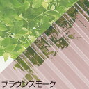 ヒシ 波板 ヒシ波ポリカ 6尺 ブラウンスモーク TNPB6BS 【859-6102】