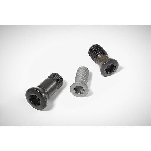 ワルタージャパン ワルター ヘッド付きスクリュー FS242 【412-4844】