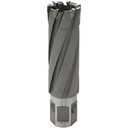 育良精機 育良 ライトボーラー用替刃 50QC LBクイックカッター ISK−5QC210（超硬刃）（54642） ISK-5QC210 【657-5350】
