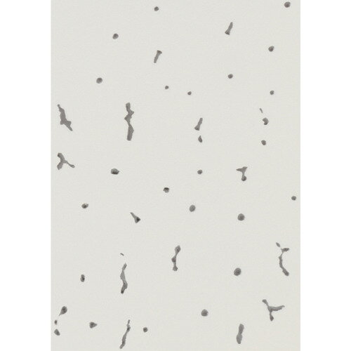 光 天井用補修シール A6 5枚入 THSA-65 【680-5038】