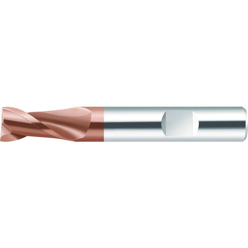 Rakuten - Prototyp 超硬エンドミル Performライン10mm ME232-10.0W2B-WJ30ED 【694-1456】
