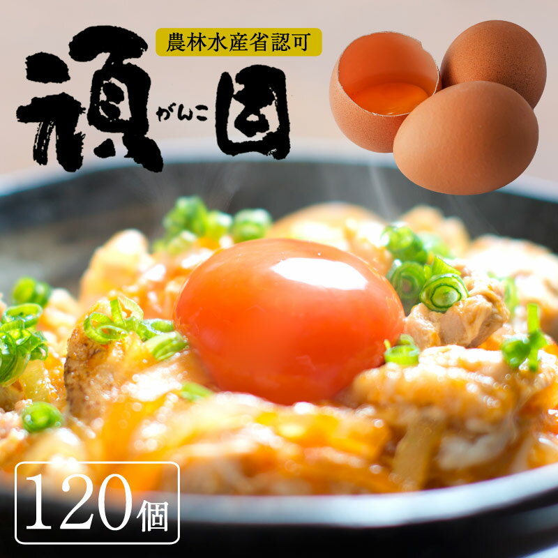 【送料無料】 たまご 卵 赤玉 お試し 高級 高級卵 濃厚 鶏卵 生卵 栄養 新鮮 ギフト プレゼント 歳暮 お歳暮 ビタミ…