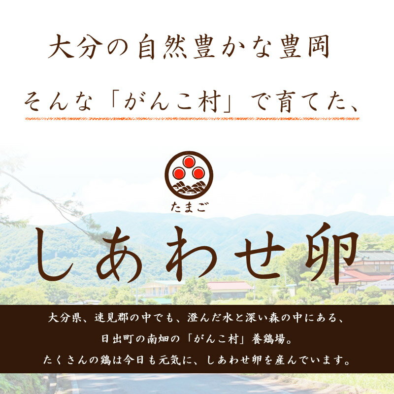 【送料無料】 生卵 卵かけご飯 マヨネーズ セ...の紹介画像2