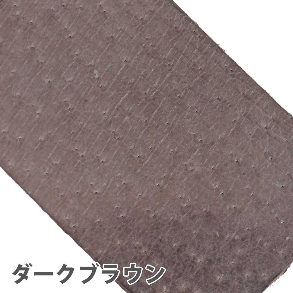 スエード ヌバック等の起毛革に 靴用カラー防水スプレー 日本正規代理店品 アーモンドオイル配合で美しくシルキーな毛並みと柔軟性を保ちます スエード靴用 補色スプレー サフィール ノワール Saphir Noir スペシャルスエード スニーカーの色落ち補修 パンプス 防水 茶