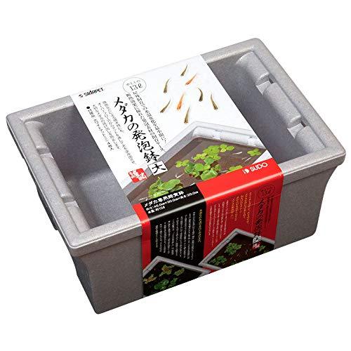 SUDO(スドー) スターペット メダカの発泡鉢 大 S-5586