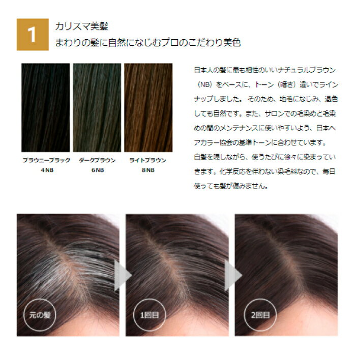 グレイシア セット／ブラウニーブラック4NB　専用ブラシ・ケース付　無添加 ヘアカラー トリートメント 白髪 白髪染 部分 ダークブラウン ライトブラウン ブラック ヘアマニキュア 簡単 生え際 美容室 サロン専売 手軽 素手 女性用 レディース 3