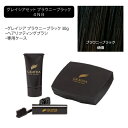 グレイシア セット／ブラウニーブラック4NB　専用ブラシ・ケース付　無添加 ヘアカラー トリートメント 白髪 白髪染 部分 ダークブラウン ライトブラウン ブラック ヘアマニキュア 簡単 生え際 美容室 サロン専売 手軽 素手 女性用 レディース