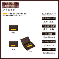 【名入れ専用】/パイロット/PILOT名刺入れ名刺約30枚収納TLPN-05-ブラック・ブラウン・ダークブラウン・ブルー・グリーン・レッド★1個までネコポス便可能!