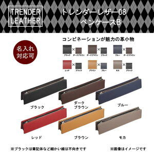 【名入れご希望の場合】／パイロット／PILOT　ペンケース（革製）シース　筆入れ　筆箱　ふでばこ TLPSF-08B-ブラック・ダークブラウン・ブルー・レッド・ブラウン・モカ★ネコポス便不可!