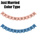 カラータイプ JUST MARRIED ウェディング用ガーランド　フォトプロップス レターバナー ピンク/ブルー