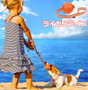 LIKER5 LINE★ライカ5ライン★ボールにベルトがついてる!丈夫!こわれにくい!【普通郵便・土日祝配達なし/出荷後3~7日前後で配達予定】※次回25-06-10(火)入荷予定!