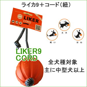 LIKER9CORDで楽しく遊ぼう!!