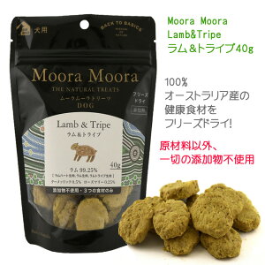 手作り食にも!