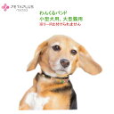 小型犬、大型猫のネックバンド 《わんくるバンド》 チロリアンテープで可愛くなって新発売!ペタプラス【首周り23~38cm】温泉鉱物で体幹強化+血流促進、神経コンディショニングで快調・ テラヘルツで免疫力をサポート【追跡可能メール便でお届け】華やぐ かわいい
