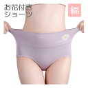ショーツ レディース 綿 深め 深履き 女性 インナー パンツ 下着 伸縮性 フィット感 大きい リラックス 単品 可愛い 暖か 秋 冬 おなかスッキリ 包み込...