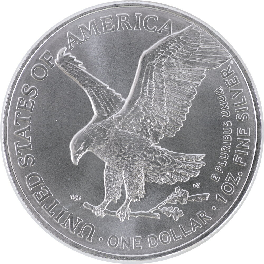 ꥫ 2021 Type2ǥǯ 1oz 999silver ̤ ݾڽ ꥢ