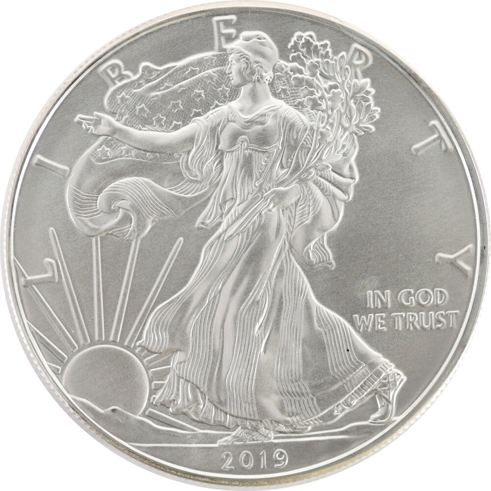 楽天市場】2019 アメリカ イーグル銀貨 1オンスの通販