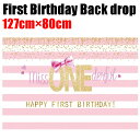 ファーストバースデイバックドロップ 152cm×101cm バースディ パーティーグッズ Happy Birthday 誕生日 背景布女の子用