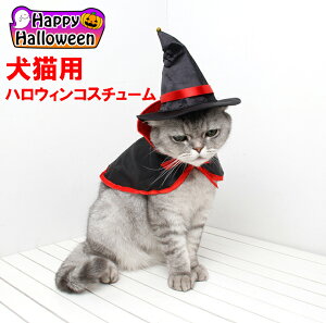 愛猫用ハロウィン22 コスプレがかわい過ぎる 人気のペット変身グッズのおすすめランキング わたしと 暮らし 愛猫用ハロウィン22 コスプレがかわい過ぎる 人気のペット変身グッズのおすすめランキング わたしと 暮らし