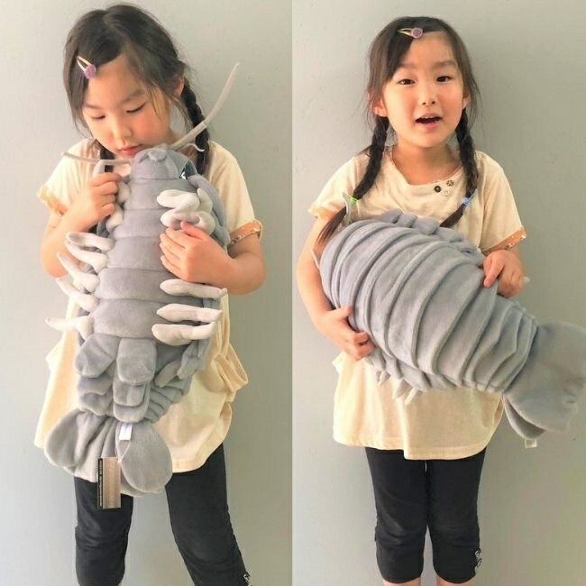ダイオウグソクムシ 特大 ぬいぐるみ クッション 約55cm グソクムシ グッズ リアル 大きい プレゼント 誕生日 ギフト サプライズ おうち時間 インテリア 【送料無料】【ラッピング無料】のサムネイル