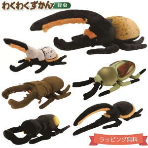 ＼ラッピング無料／ぬいぐるみ カブトムシ クワガタ 約30cm わくわく図鑑 昆虫 ネプチューンオオカブト グラントシロカブト ヘラクレスオオカブト ミヤマクワガタ パリーフタマタクワガタ ニジイロクワガタ 誕生日 大人 小学生 保育園