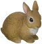 マグネット PET BANK ペット バンク RABBIT (ウサギ) 974 ベージュ