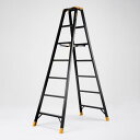 【SALE価格】エスコ (ESCO) EA903AB-210A 2.02m 専用脚立(ワイドステップ) EA903AB-210A