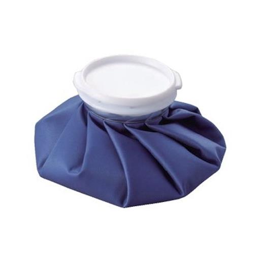 エスコ (ESCO) EA917HE-21 400mL アイスバッグ EA917HE-21 【9個セット】