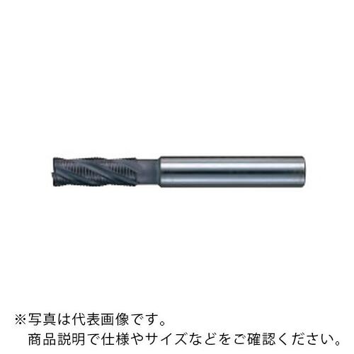 ե AG ե󥰥ɥߥ[AGREM ߥǥĹ] ( AGREM 35 ߥǥ ) ()