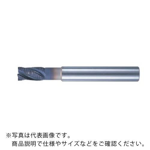 ե AG ե󥰥ɥߥ[AGRES 硼ȿĹ] ( AGRES35 ) ()