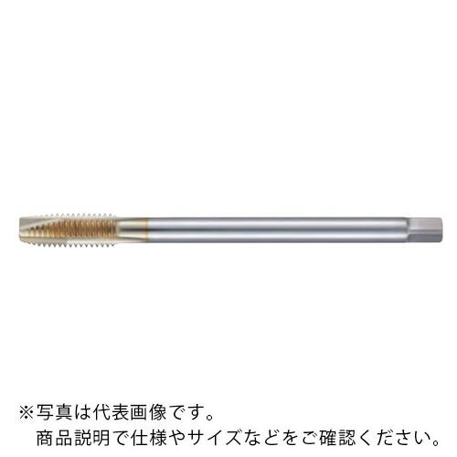 フジコシ SG ポイントタップ ロング