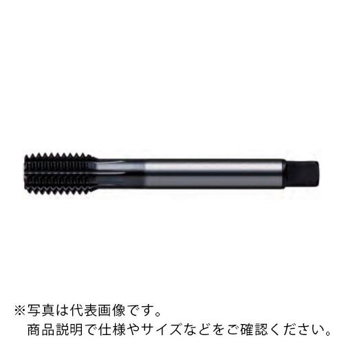Rakuten - フジコシ ZT フォーミングタップ ( ZTF6M1R-B )