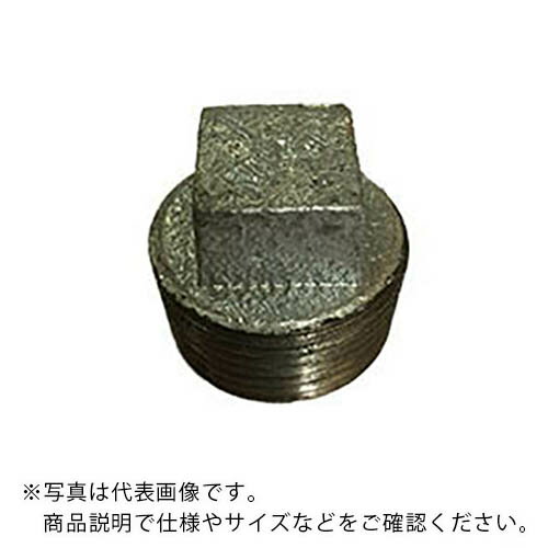 Rakuten - 可鍛鋳鉄FCMB（白） ネジ込継手 プラグ 25A (1633813) (P-25A)