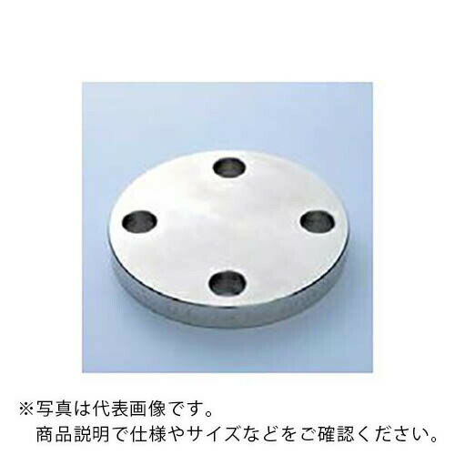 SUS316L ֥饤ɥե BLFF JIS10K 200A (8B)