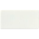 IM 無地名札 25×50×2mm 白地 ( AN-2550WCMZ ) (株)アイマーク