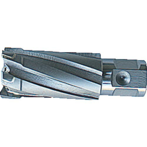 大見 35SQクリンキーカッター 刃径31.0mm ( CCSQ310 ) 大見工業(株)