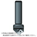 富士元 Rヌーボー シャンクφ32 ロングタイプ ( NK32-70RL ) 富士元工業(株)