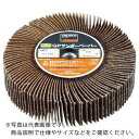 TRUSCO GPサンダーペーパー ねじ込み式 Φ100 5個入 #320 320# ( GPSP10025 #320 (5コイリ) ) トラスコ中山(株)