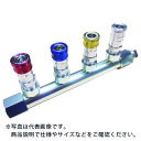 ヤマト PALシリーズ エアーヘッダーカップリングソケット ( 6PAL4-20-4 ) (有)ヤマトエンジニアリング