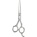 GREENBELL ステンレス製 ヘアカットはさみ ( G-5020 ) (株)グリーンベル