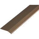ASSIST 床金物20-112AGBヘの字押え 穴なし アルミブロンズ 1/2定尺2.00M ( 20-112AGB14H ) (株)アシスト