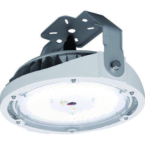 IRIS 273553 ŷLED ľե 10000lm  (5000) 졼 ( LDRCL58N-110BS ) ꥹ() LED