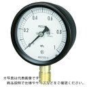 長野 密閉形圧力計 A枠立型 Φ75 最小目盛0.002 ( BC10-131-0MP ) 長野計器(株)