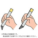 【SALE価格】SANWA 切削工具 超硬バイト 13形 16×16×140 P20 P20 ( 13-2 P20 ) (株)三和製作所